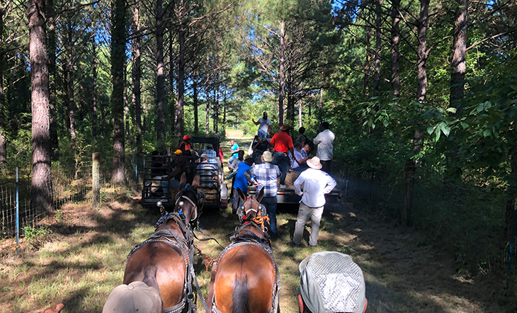 Federation of Southern Cooperatives donkey ride photo Colleen Vincent